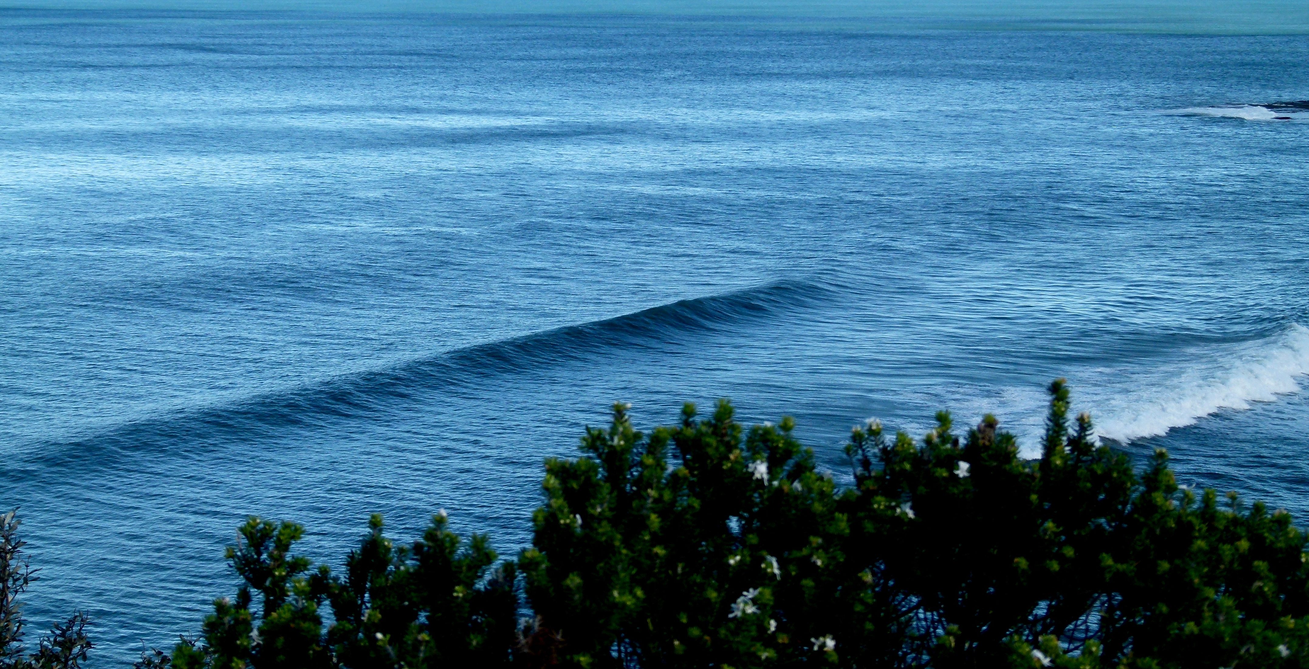 wave royal national park